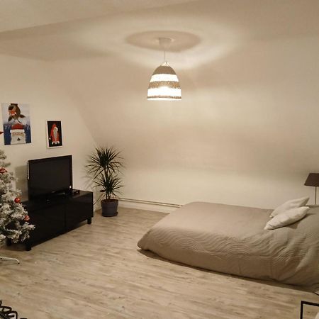 Gite Du Logelbach Wintzenheim Exteriör bild