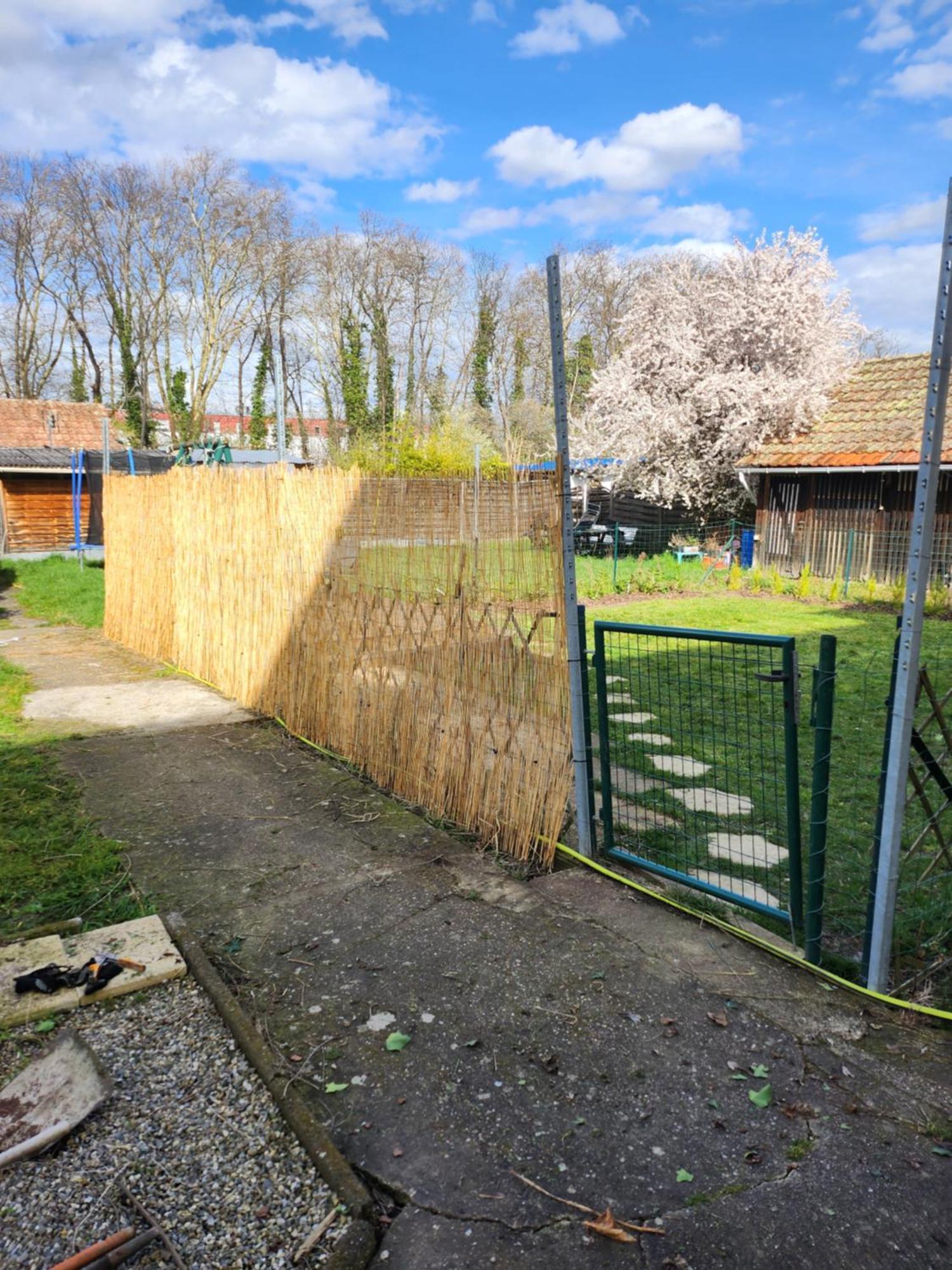 Gite Du Logelbach Wintzenheim Exteriör bild